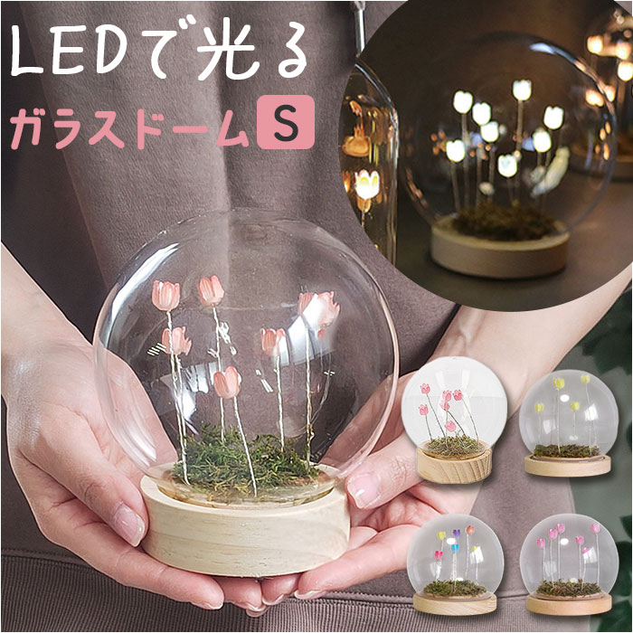 楽天市場】ガラスドーム フラワー 通販 チューリップ ガラスボールS