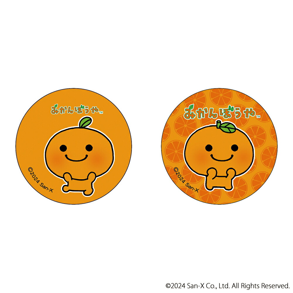 楽天市場】BACKYARD FAMILY サンエックスレジェンド まじかる百貨店缶