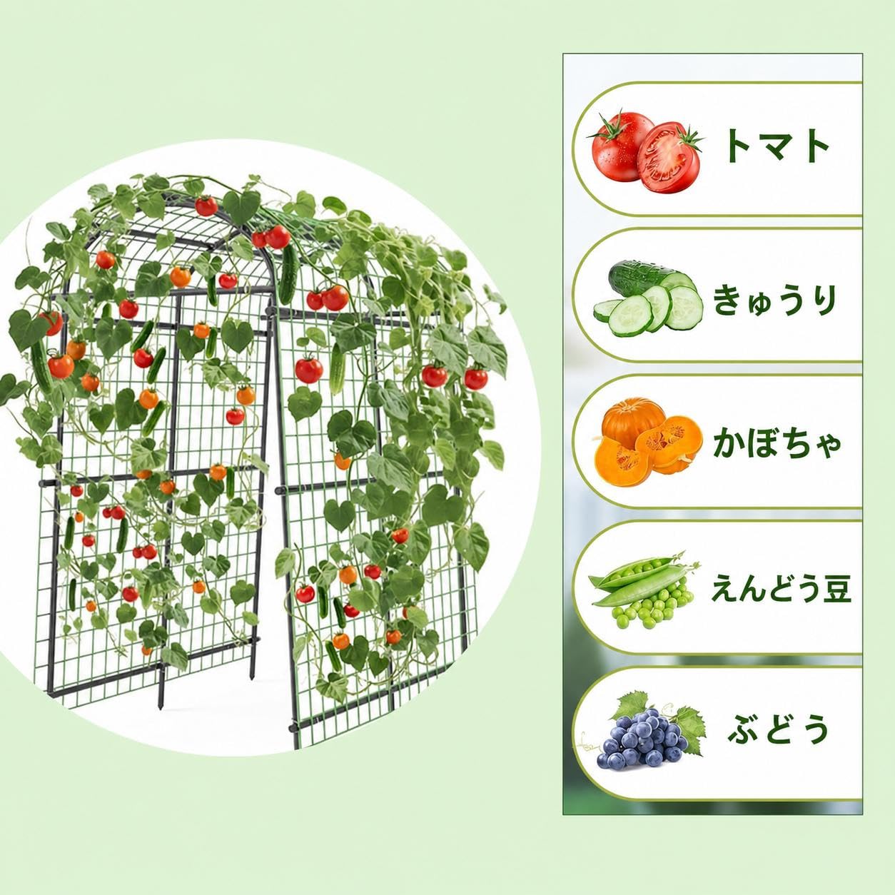 ガーデントレリス U型 120&times;160cm 金属製 ネット付き 工具不要 折りたたみ式 つる植物用 園芸支柱 防錆塗装 菜園ネットフレーム 立体栽培 レイズドベッド対応 屋外用 きゅうり・メロン・かぼちゃ・ぶどう・バラ・クレマチス｜くらしのBADUS