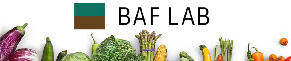 BAF LABڤȤ߹碌ͳη䤷Ƥޤ