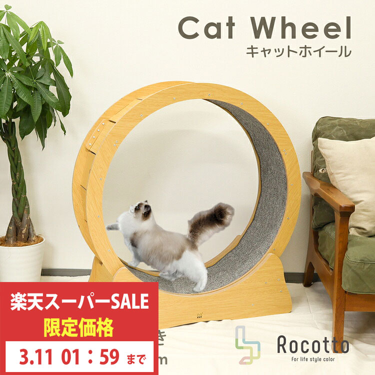 catwheel001.jpg