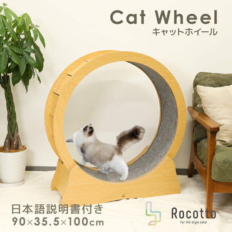 catwheel001.jpg