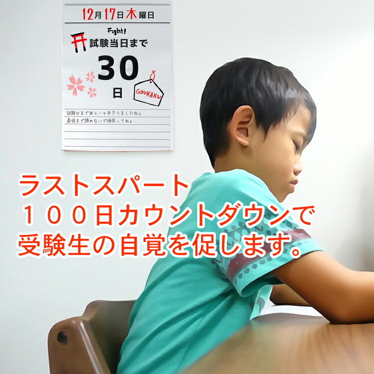 日めくりカレンダー 受験生のための 合格 日めくり カレンダー 21 21年 ラストスパート 100日 カウントダウン 中学 高校 大学 入試 試験 資格 受験 メモ 寄せ書き 壁掛け シンプル 合格祈願グッズ モチベーション ギフト Crunchusers Com