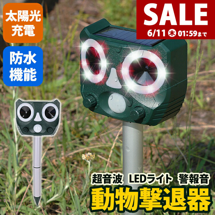 雨季特集
