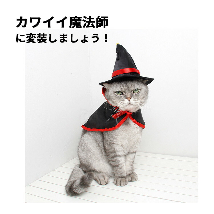 楽天市場 Offクーポン適用 ハロウィン コスプレ 犬 猫 ペット服 コスチューム 衣装 魔法使い 魔女 犬用 猫用 マント 帽子 犬服 ドッグウェア キャットウェア 犬用品 仮装 変装 変身 おもしろグッズ かわいい 可愛い 小型犬 中型犬 大型犬 クリスマス イベント