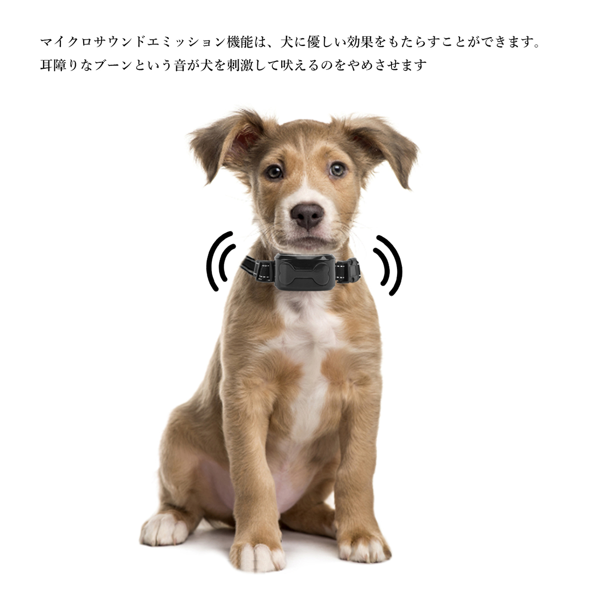 市場 送料無料 安全 無駄吠え防止 自動センサー Usb充電式 吠え防止グッズ 有効 噛み癖 犬訓練しつけ首輪 首輪 犬