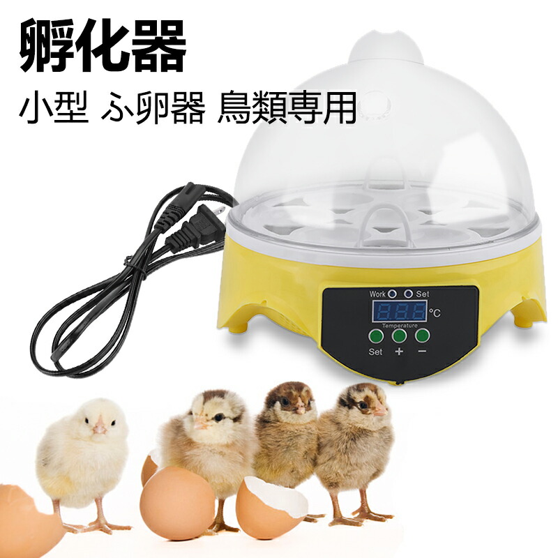 楽天市場】検卵器 LEDライト 自動検卵器 照明インキュベーター 楽天市場】検卵器 LEDライト 自動検卵器 照明インキュベーター