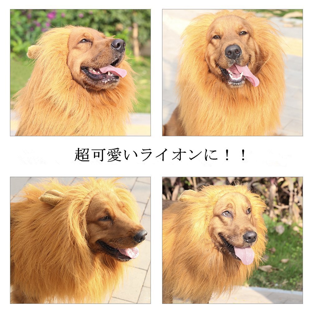 送料無料 ライオン たてがみ ペットウィッグ 密偵使処衣服 コスプレネックウォーマー 耳付人 大切 招宴 ハロウィン 犬グッズ 仮装 発火物茶色 Nobhillmusic Com