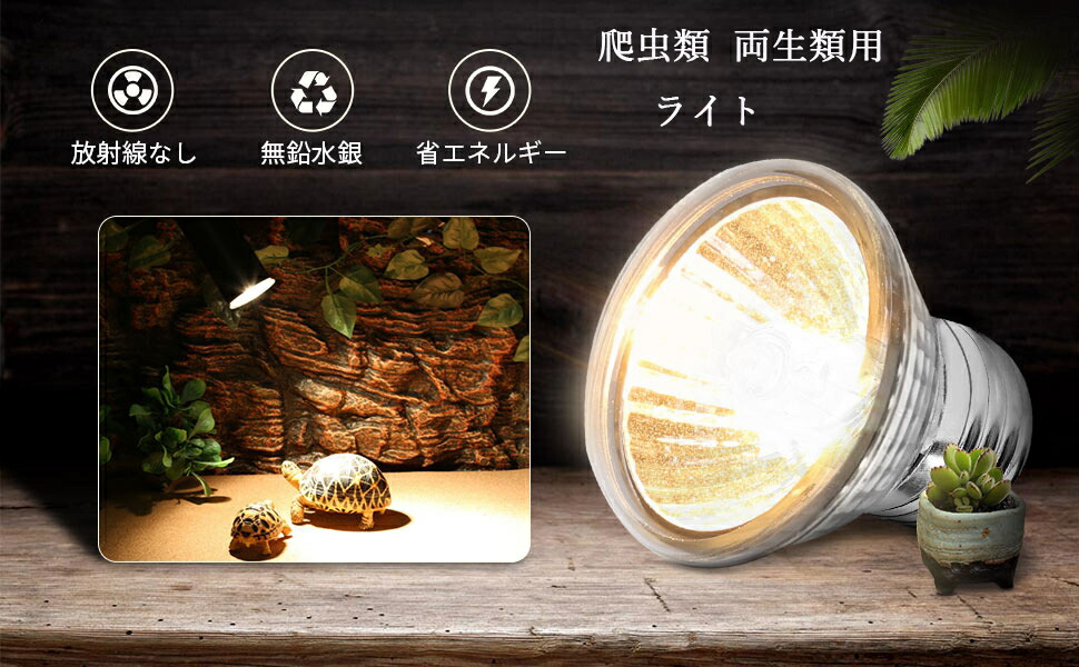楽天市場】3点セット 保温電球 爬虫類照明 ライト 両生類用ライト UVA