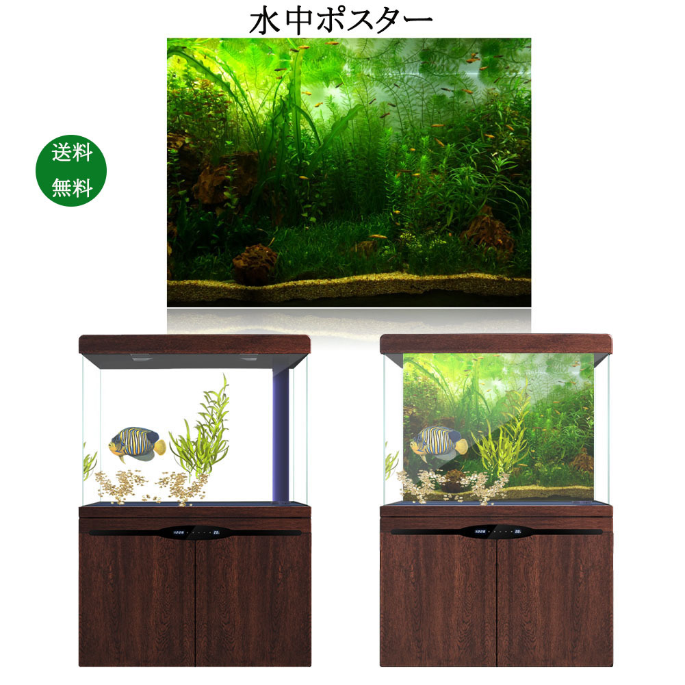 楽天市場 送料無料 水中ポスター 水草 魚タンク 水族館 水槽タンク 装飾ステッカー 自己接着設計 Pvc製 Pvc接着剤 水草背景 ポスター背景装飾紙 水中バックグラウンド 122 61cm Baibaiyishop