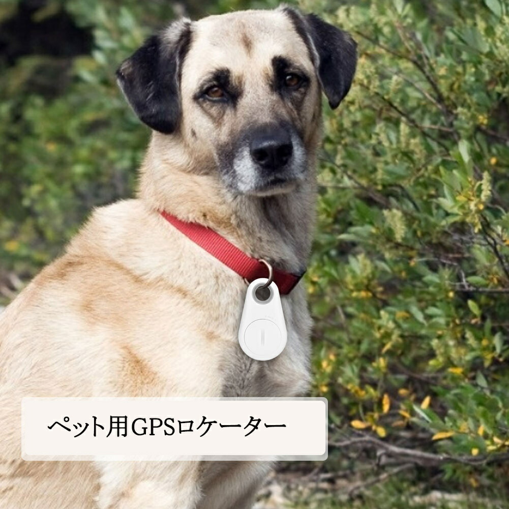 楽天市場 送料無料 ペット用gpsトラッカー Bluetooth連続 Gpsアンチロストロケーター モニター 犬 猫用gpsロケーター追跡装置 紛失防止 盗難防止 キーホルダー 置き忘れ防止 長寿命 Baibaiyishop