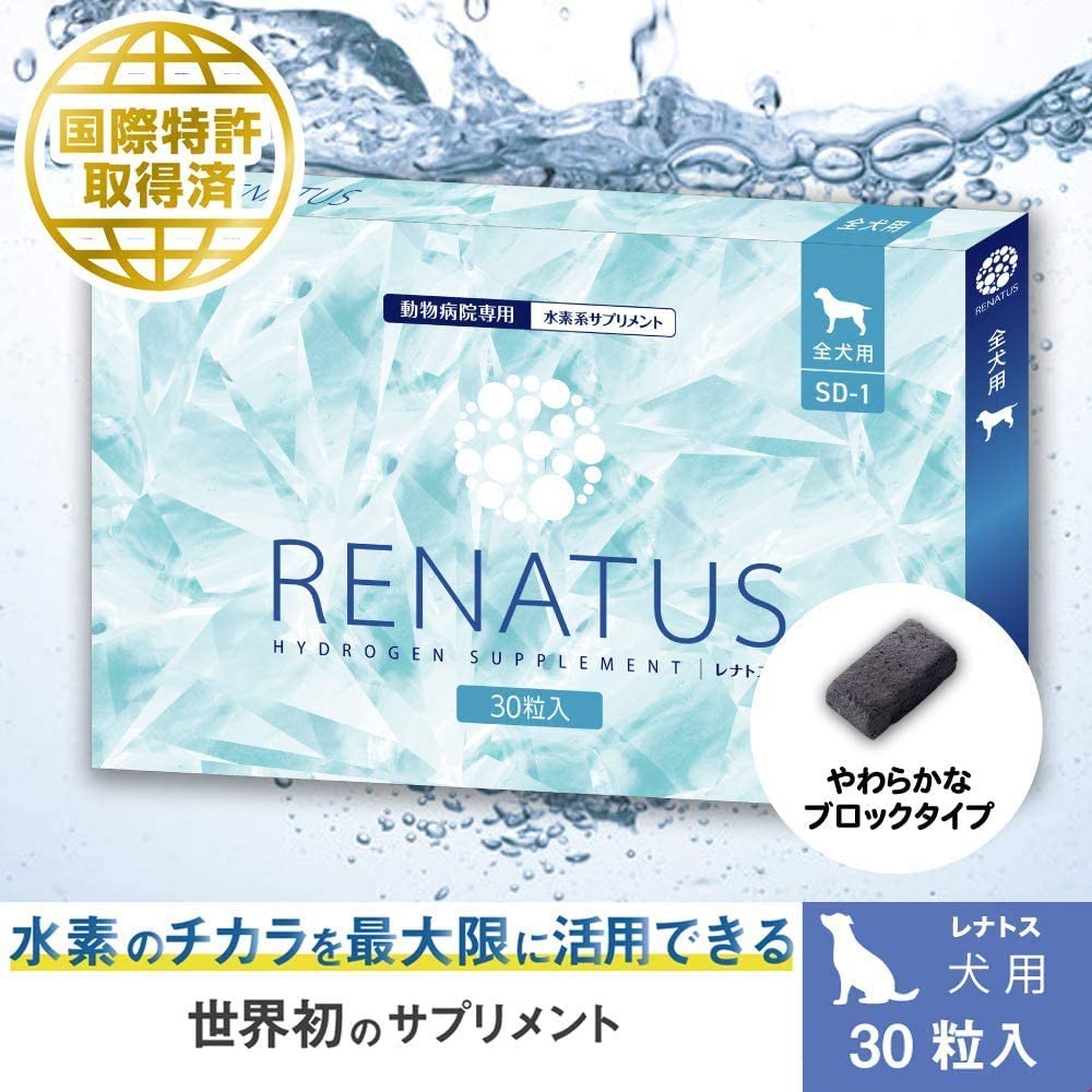 楽天市場 送料無料 即日発送 レナトス ｒｅｎａｔｕｓ 水素系サプリメント 犬用総合サプリ 全犬用 Sd 1 腸で水素を発生 ケイ素 皮膚 被毛 関節 血管 目 腎臓 胃腸 耳 健康維持 エイジングケア 長生き 健康 水素 サプリメント 日本製 特許取得 レナトスジャパン正規