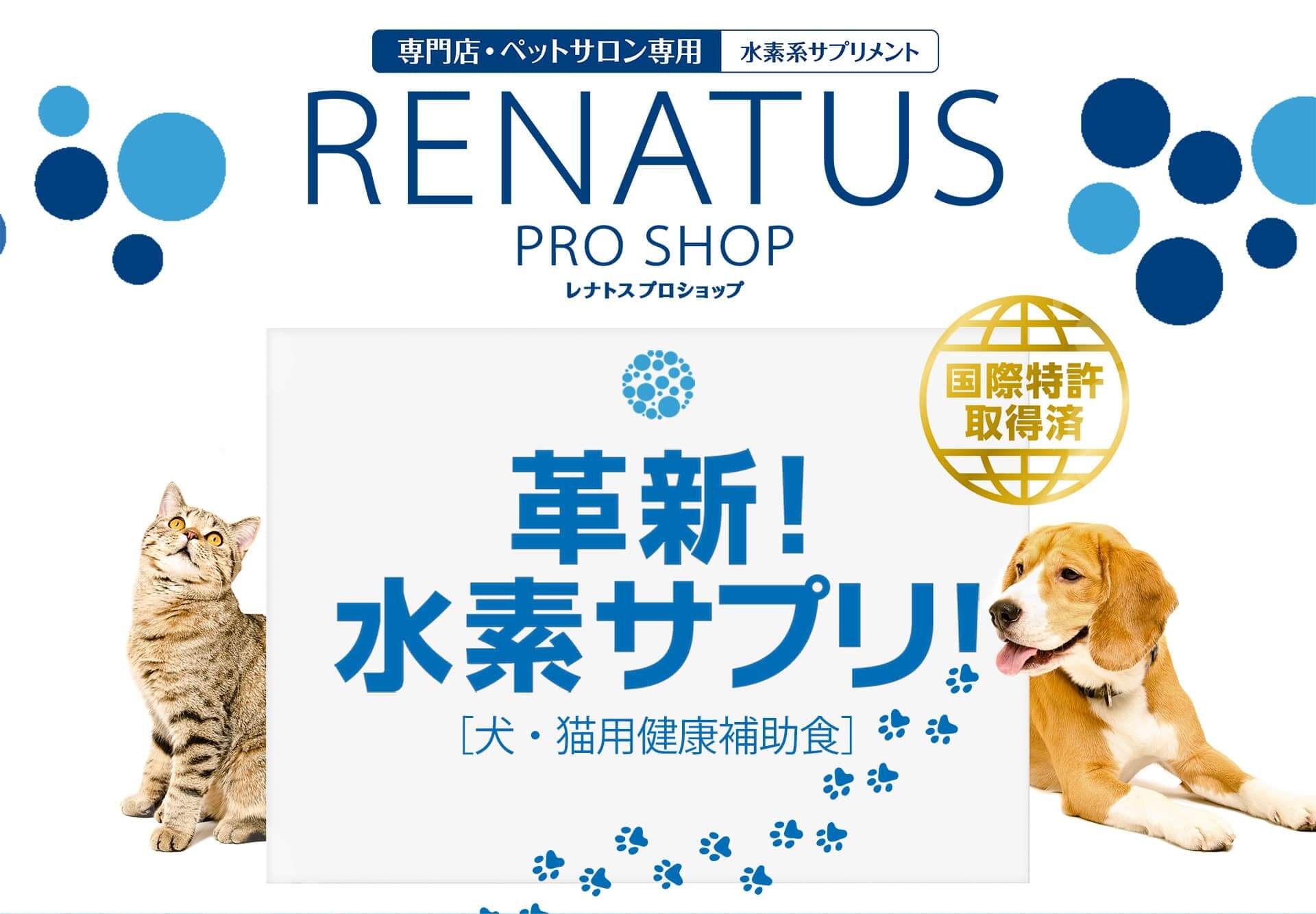 楽天市場 送料無料 レナトスジャパン正規販売店 ｒｅｎａｔｕｓ水素系サプリメント 犬用総合サプリ レナトス 全犬用 Sd 2 皮膚 被毛 関節 血管 目 腎臓 胃腸 耳 の健康維持をサポート エイジングケア 長生き 健康 水素 サプリメント Ntカッター文具雑貨の