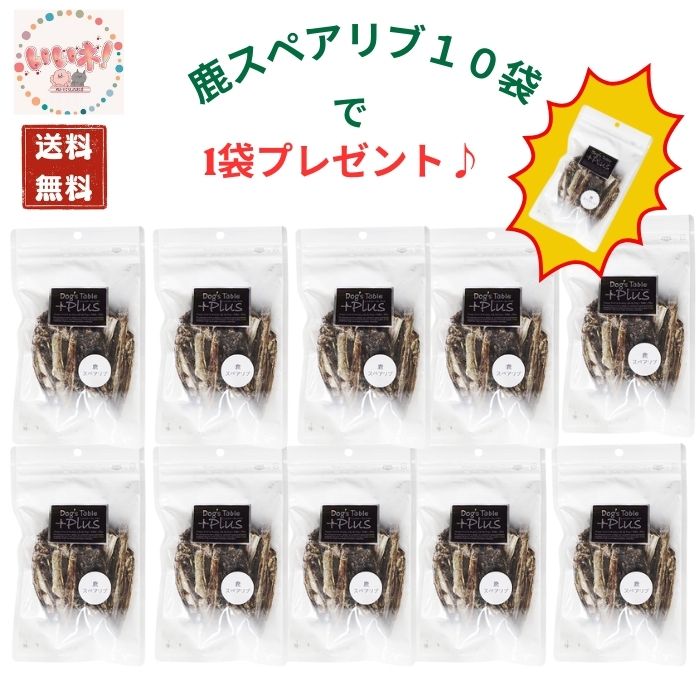 【新作つけ替える大売り出し】愛玩動物とくらしのお店好いたらしいネ！SUO置き目品を人並み外れた必要経費で大吹きあげる