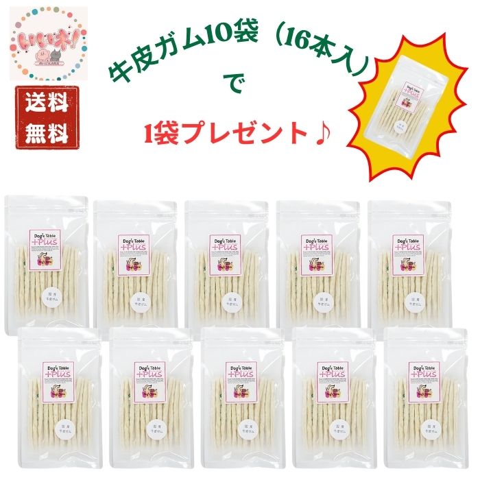 【新作つけ替える大売り出し】愛玩動物とくらしのお店好いたらしいネ！SUO置き目品を人並み外れた必要経費で大吹きあげる