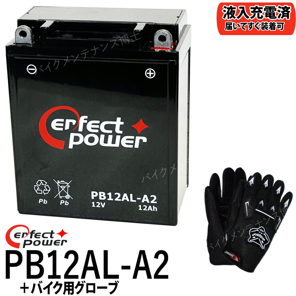 贈り物 GM12AZ-3A-1 FURUKAWA 古河電池 除雪機バッテリー 液入り充電済み GM12AZ-3A-