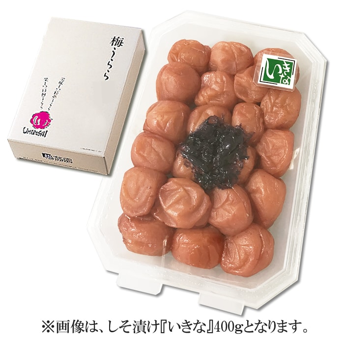【長寿　御祝に最適】梅うらら　いきな　梅干し　長寿御祝い酸味のある　南高梅　傘寿　ギフト　古希　梅干し　卒寿　紀州南高梅】【G】　白寿　高級梅干し　梅干し　南高梅　しそ梅　喜寿　ギフト　高級　米寿　南高梅　レンジパック　ギフト　400g（塩分8％）【還暦　梅干