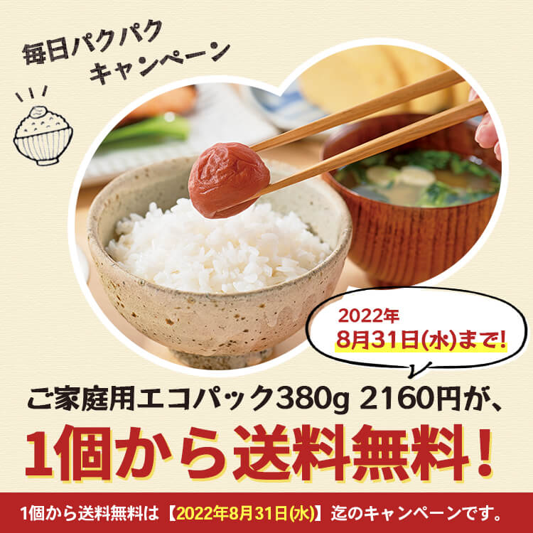 市場 送料無料 22 8 31まで ご家庭用エコパック380g 紫蘇漬け17 中粒サイズ 昔ながらの梅干し