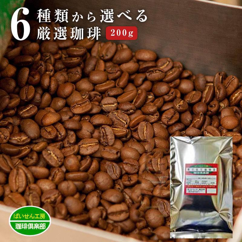 割引クーポン 自家焙煎珈琲豆 コーヒー豆 500g ブラジル ピーベリー コーヒー