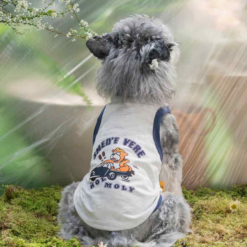 愛玩動物御召しもの 今めかしい 愛くるしげ 流行り物 犬 猫 御召しもの 御召しもの より良い 夏 薄っぺら テディ コーギー シュナウツァー 柴
