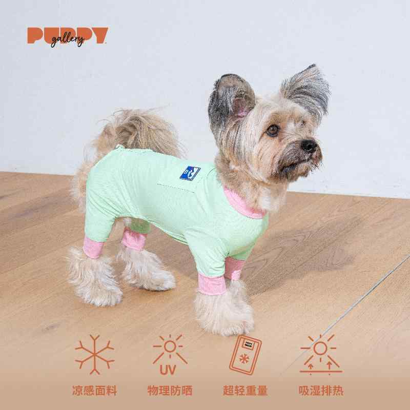 愛玩動物お召しもの 今めかしい 愛くるしげ 流行り物 犬 猫 お召しもの お召しもの 冷やりとした 四足服 夏 小型 色