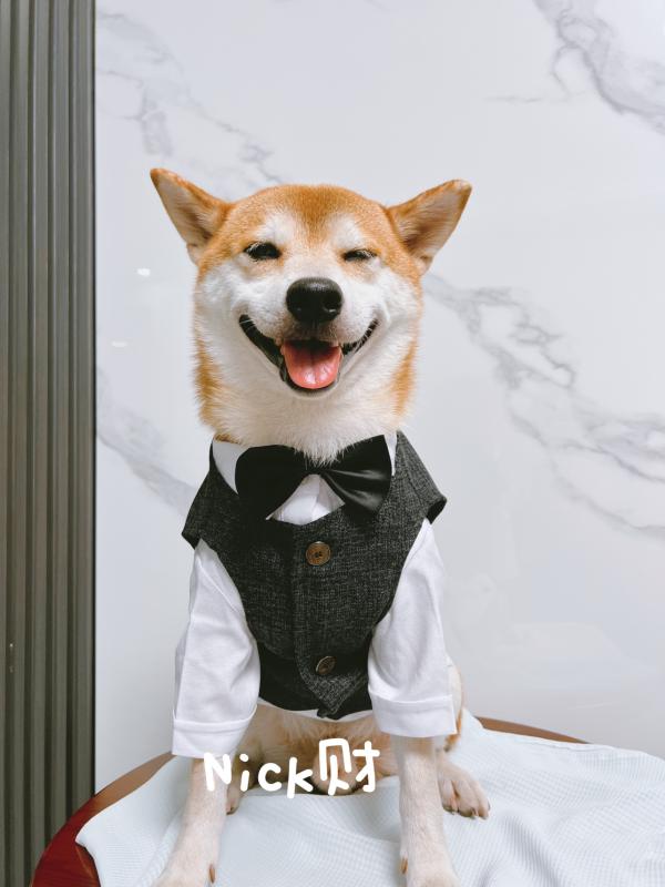 ペットウェア ドッグウェア 動物 衣装 パフォーマンス ファッション カジュアル コスプレ おもしろ