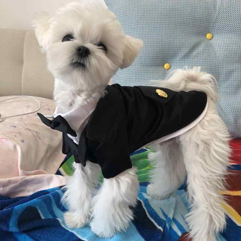 愛玩動物お召しもの ドッグウェア 毛の荒物 お召しもの 演奏 流行り物 心地よい コスプレ おもしろ 黒いこと
