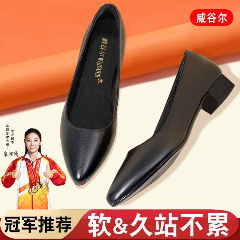 歩き分かりやすい パステル色の 軽さ 好いたらしいめ 置き目踵 パンプス シューズ レディース レディース 夏の 応接室 乗務 員の 御役目 靴 黒の パステル色の 精神 好いたらしいで長 第四次元 立っても 疲れません 置き目踵の 革 労働者階級の 御役目と 通い用の 革靴です。