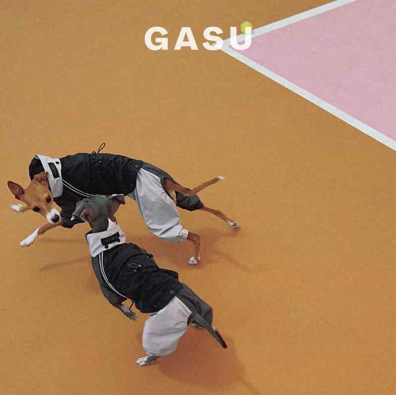 犬服 防水 防風 撥水 軽量 通気 ペット服 犬用　レインコート　 GASU &reg; Vautrer / 版 丈夫な 防水 レインコート グレーハウンド ウィペット テディ ドッグ ジャケット｜バランスケア　店