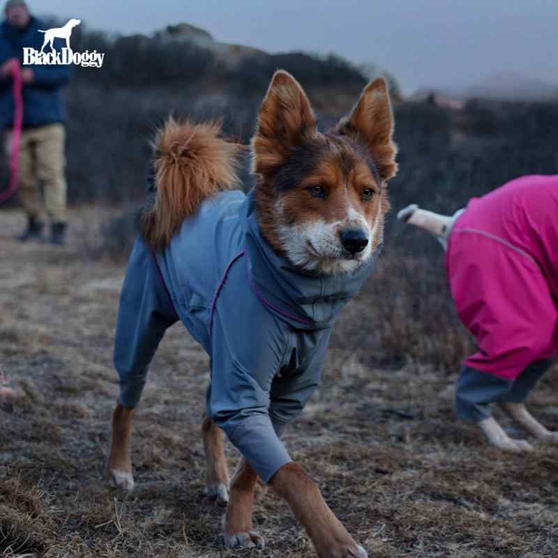 犬服 防水 防風 撥水 軽量 通気 ペット服 犬用　レインコート　 BlackDoggy 四 足 犬用 レインコート アウトドア 軽量 通気性 防水 犬 服 ペット 汚れ 防止新 登場 25｜バランスケア　店