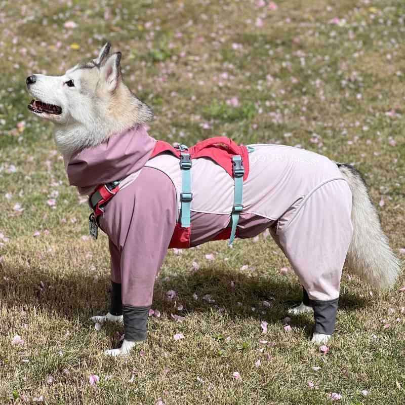 雨具フード付き 着せやすい 濡れにくい 梅雨対策 おしゃれ 犬用　レインコート　 【 あり】 DOUBTLESS 24 AW FLEX GUARD 犬 柄 ニット レインコート ジャケット｜バランスケア　店