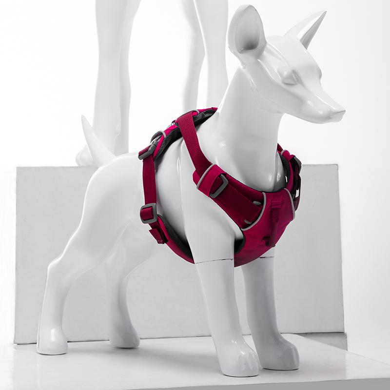 ナチュラル ギフト 装飾 雑貨 置物 ディスプレイ　飾り　装飾品 犬の 模型 取り外し 可能 樹脂製 軽量小 動物 犬 ペット 服 ディスプレイ 小道具 ショップ 装飾品