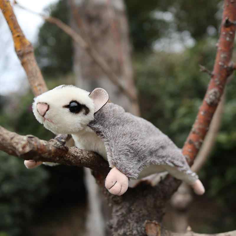ぬいぐるみ フクロモモンガ かわいい リアル 動物 玩具 子供用 柔らかい 素材 室内遊び ふわふわ 触り心地 癒し グライダー 形状 かわいい 表情