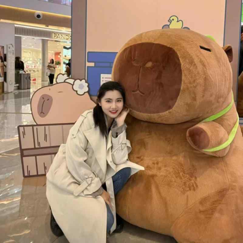 ぬいぐるみ カピバラ 大型 愛くるしげ 鼻水 御姉さん 青写真 パステル色の ブランケット 遊び道具 赤ちゃん用 室内命のせんたく 癒し グッズ 毛の荒物 主題 プラッシュ 原料品 ふわふわ 手当たり 飾りつけ 個条