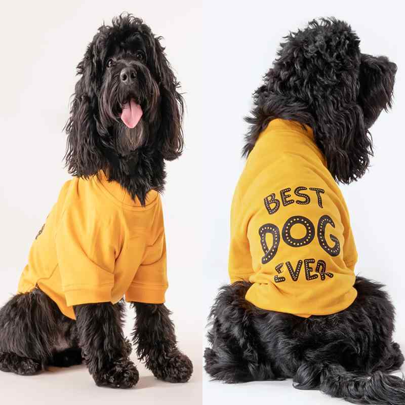 犬用服 小型犬用 春夏 プリント柄 ベスト ファッション カジュアル 通気性 軽量 ペットウェア 日常使い 吸湿速乾｜バランスケア　店