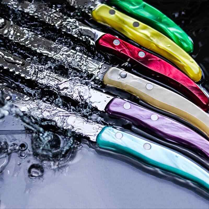 パン切り包丁 カッティング スライス カット ナイフ 家庭用 ブレッド ケーキ スポンジ フランス製 クロード ド ゾルム ウルフヘッド ステンレス スチール 鋸歯状 樹脂製|バランスケア 店