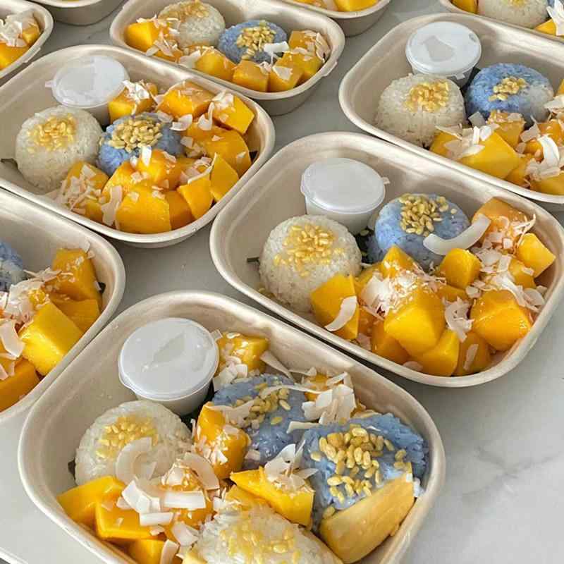 使い捨て 楕円面形 弁当箱 昼食会ボックス席 軽さ サラダ菜 乾荒原 おにぎり 弥助 分かりやすい 使い分かりやすい お役目用