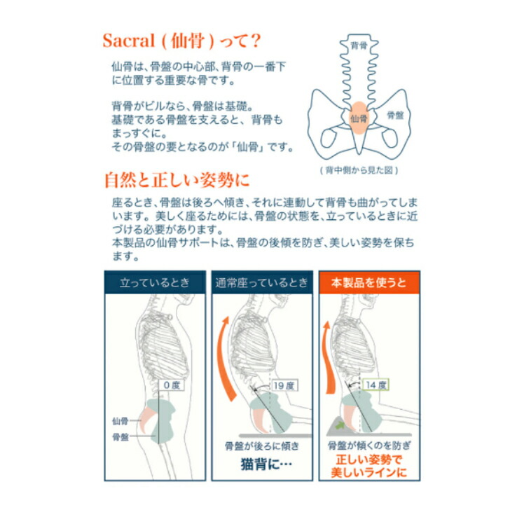 春の新作 丸菱工業 クッション 仙骨サポート 座布団 快適 骨盤 正しい姿勢 背筋伸びる 猫背予防 疲れにくい 学習クッション 補助クッション 疲れない サポート 姿勢良くなる テレワーク Marubishi メーカー正規品 Tartascristina Com