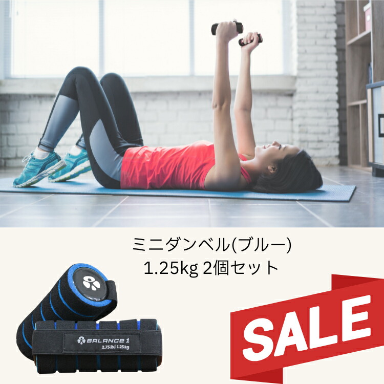 楽天市場】【送料無料】ジョギングエッグダンベル 490g 2個セット/鉄人