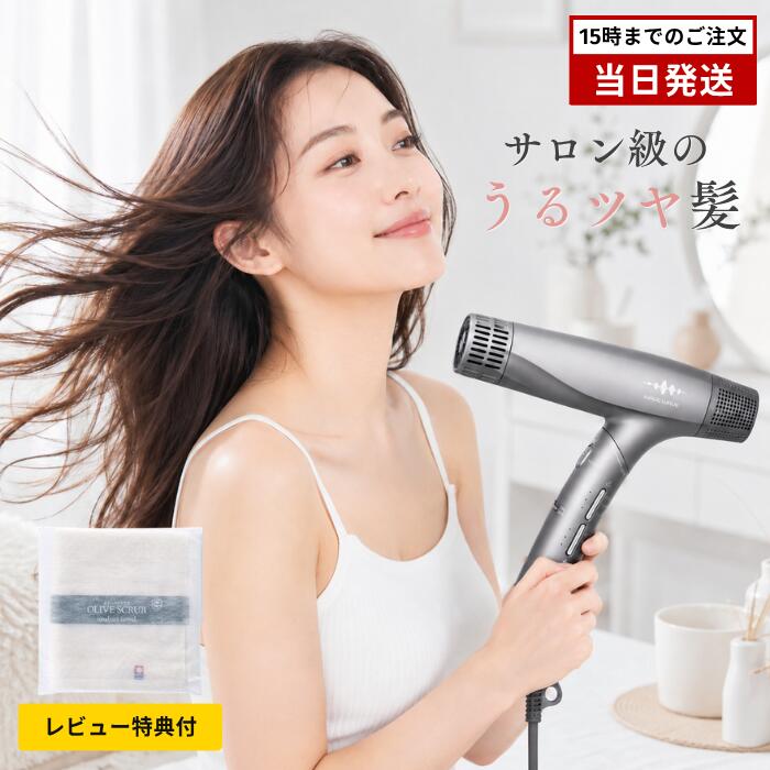 【レビュー特典付き】WAVEWAVE Dual Care Dryer WH55-01 ウェーブウェーブ デュアルケアドライヤー 大風量 速乾 ヘアドライヤー マイナスイオン Wイオン くせ毛 温冷切替 軽量 折りたたみ 11万回転 ノズル2種 グレー｜BALC SHOP
