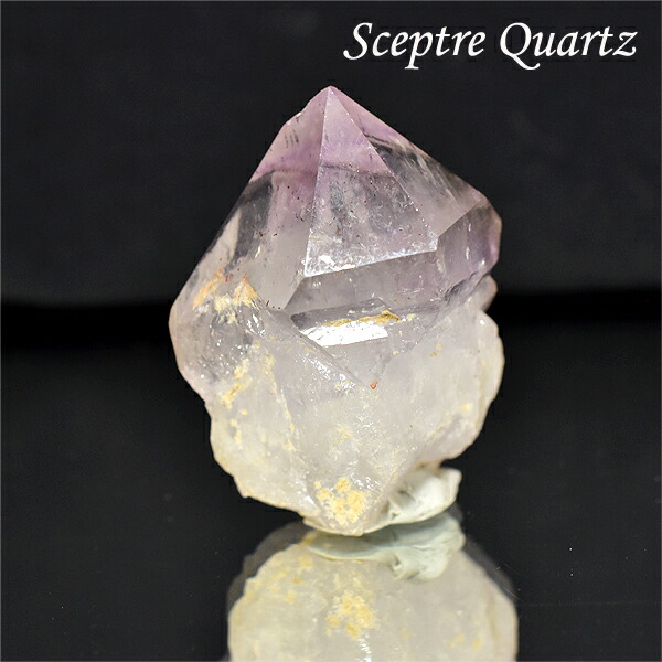 楽天市場】セプタークォーツ 松茸水晶 きのこ水晶 王笏水晶 希少原石