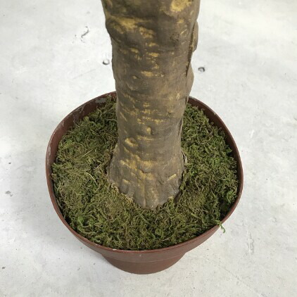 造花 Artificial Plant フェイクグリーン H135cm A 1 アジアン 観葉植物 インテリア リビング おしゃれ バリ雑貨 Painfreepainrelief Com