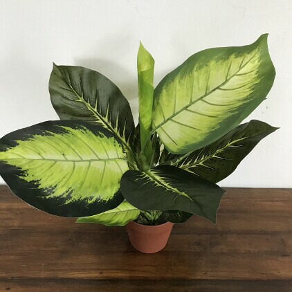 【インテリア雑貨 おしゃれ バリ風】 アジアン雑貨 インテリア バリ風 観葉植物 造花 ディフェンバキア B H60cm フェイクグリーン 人工 アジアン おしゃれ インテリア インテリアグリーン バリ雑貨 [ss2409]
