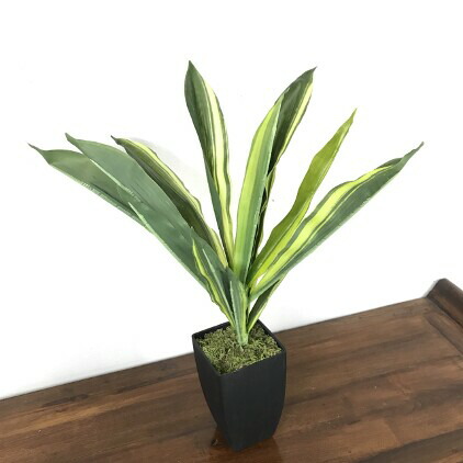 楽天市場 造花 Artificial Plant ドラセナ H60cm フェイクグリーン アジアン 人口観葉植物 インテリア おしゃれ バリ アジアンインテリア バリ雑貨 石材のクプクプ Kupukupu