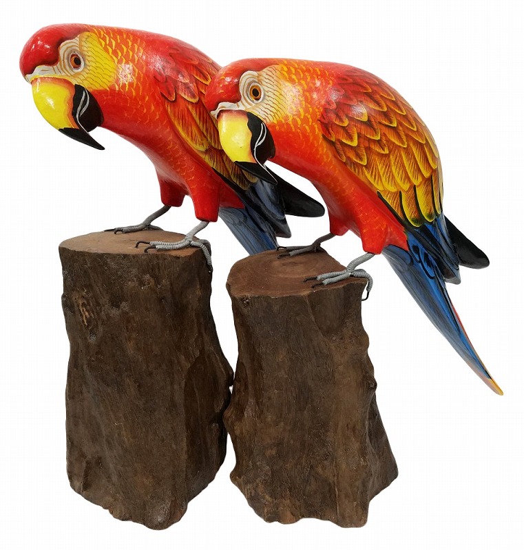 天然木に止まる南国鳥オウム30赤 バリ アジアン雑貨バリパラダイス Crunchusers Com