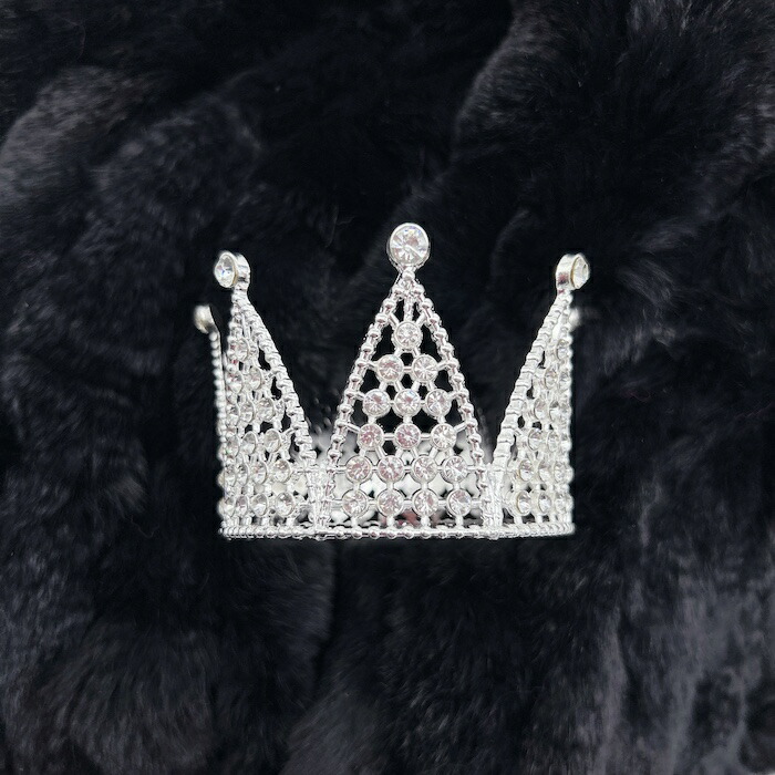 楽天市場】バレエ ティアラ プリンセス お姫様 ブライダル 人気