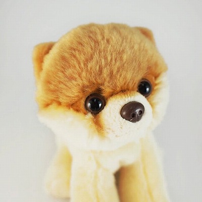 楽天市場】boo ぬいぐるみ ポメラニアン Boo GUND 【GUND】Boo