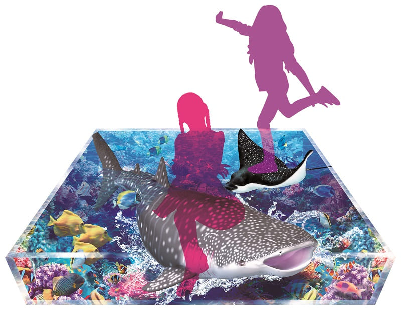 貨物輸送無料 ジンベエザメに乗ろう Tra Rm012 販売店 家処飾り甲斐 サマー向け アニマル ジンベエザメ写真場 計謀芸術 フォトスポット レンタル 簡易発明 フローア覆面 思い者マチエール でき事 装飾用 フォミリー 水族館 魚肉 ジンベエザメ 溟海 Marchesoni Com Br