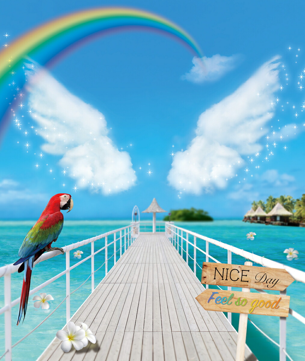 トリックアート パネル アート イベント トリック トリックアートパネル フォトスポット フォトパネル 南国の天使 子供向け 簡単 組立 羽 翼 送料無料 訳あり 南国の天使