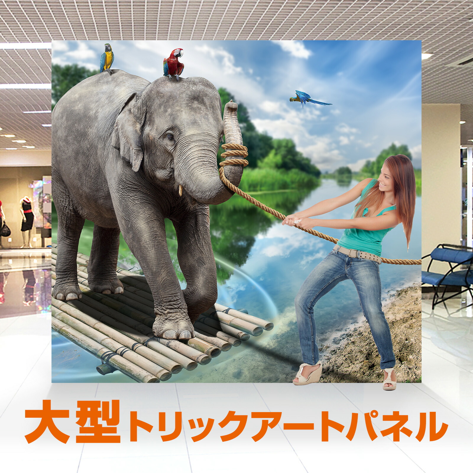 イベントフォトパネル 楽天市場】トリックアート こいのぼり 春 ＜TRA-025 鯉のぼり